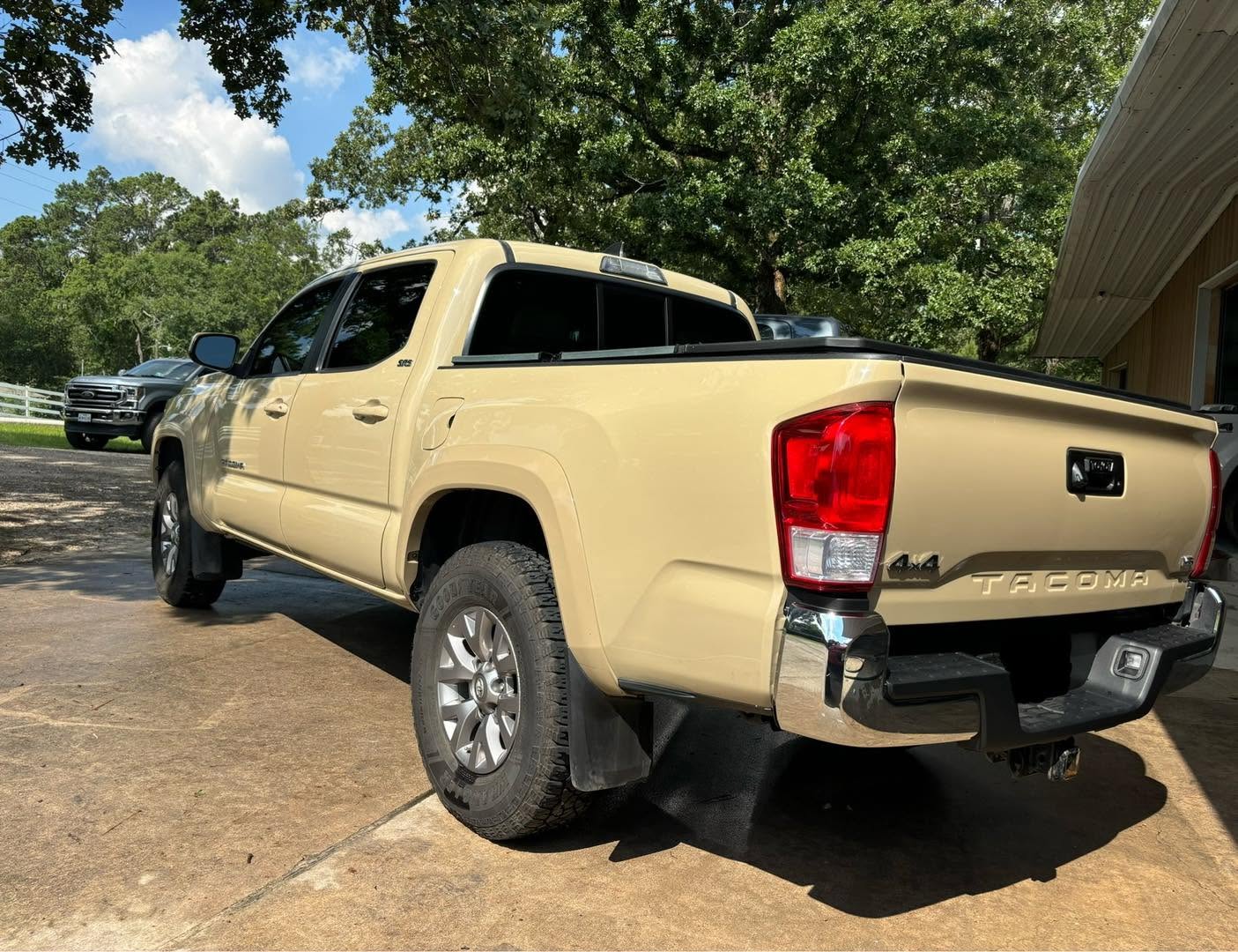 Scratch & Bumper Repair